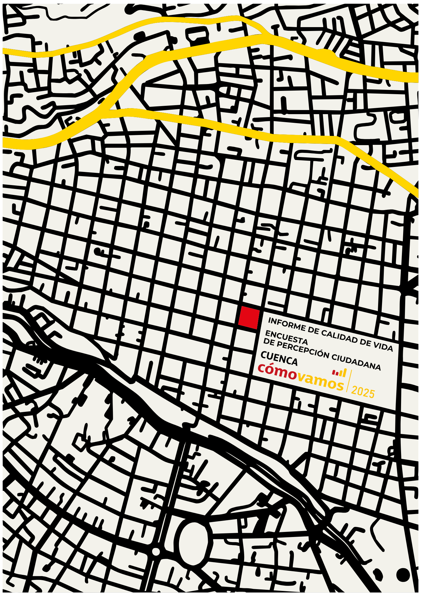 Informe de calidad de vida, Encuesta de percepción ciudadana "Cuenca como Vamos 2025"